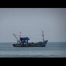 Die Konkurrenz mit dem Schleppnetz